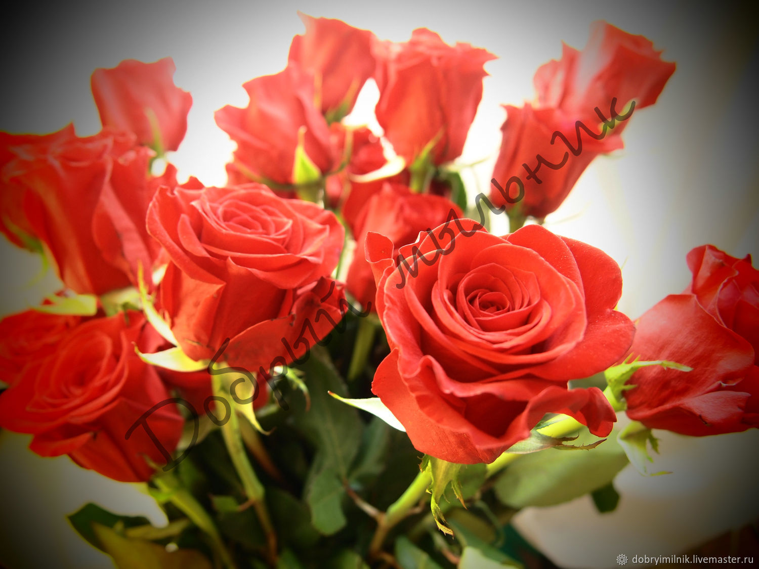 Отдушка бургундская роза для мыла, свечей, бомбочек (США) купить в  интернет-магазине Ярмарка Мастеров по цене 117 ₽ – HQKG1RU | Ароматизаторы,  Москва - доставка по России