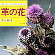«Цветы из кожи», Аояма Кадзуэ, Книги, Новосибирск,  Фото №1