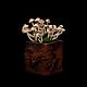 Order Decorative toadstools glowing in the dark. asbaik (asbaik). Livemaster. . Miniature plants and flowers Фото №3