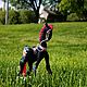 Заказать Лошадь, лошадка с народной росписью, лошадка в народном стиле. Vivika12. Ярмарка Мастеров. . Интерьерная кукла Фото №3