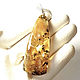 Very large pendant made of natural Baltic amber(320). Pendant. amber-kaliningrad. Online shopping on My Livemaster.  Фото №2