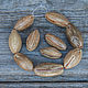  Крупные коричневые из семян кокоса, 16 мм, Бусины, Москва,  Фото №1