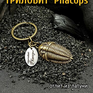 Сумки ручной работы. Ярмарка Мастеров - ручная работа Брелок-подвеска Трилобит Phacops. Handmade.