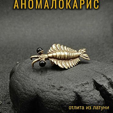 Украшения ручной работы. Ярмарка Мастеров - ручная работа Брошь-значок Аномалокарис Д-010. Handmade.