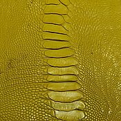 Материалы для творчества handmade. Livemaster - original item Ostrich shin leather, yellow color, semi gloss coating.. Handmade.