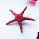 Brooch 'Star of Undine' with rhodolite and droplets. Brooches. legendavincento. Online shopping on My Livemaster.  Фото №2