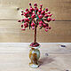  Coral tree 'Coral Dawn', Trees, Moscow,  Фото №1