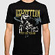 T-shirt with print 'Led Zeppelin', T-shirts and undershirts for men, Moscow,  Фото №1