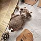 Заказать Мастер-класс по вязанию коровы с одеждой (12-14 см). Straw Animals. Ярмарка Мастеров. . Схемы вязания Фото №3