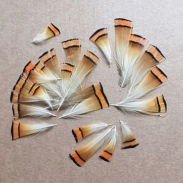 Перья — купить на Ярмарке Мастеров | Материалы для творчества