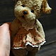  Puppy Teddy Molly. Teddy Bears. My favorite Teddy bear. My Livemaster. Фото №4