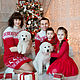 Sweater dress with knitted reindeer Family set, Sweaters, Moscow,  Фото №1