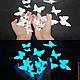 Glow stickers - Naughty butterflies. For walls and ceilings, Interior elements, Sterlitamak,  Фото №1