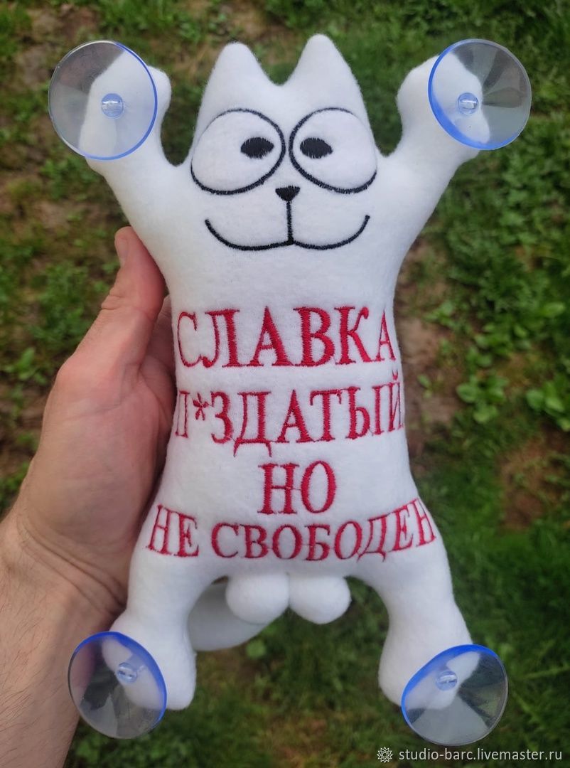 Кот Саймона в авто на присосках 