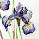 Painting watercolor "Irises". Pictures. Artist Iuliia Kravchenko (realism-painting). My Livemaster. Фото №4
