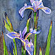  Wild irises 19h27 cm, Pictures, Penza,  Фото №1