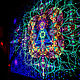 Fluorescent luminous psychedelic canvas of Reincarnation, Pictures, Moscow,  Фото №1