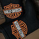 boots: ' Harley-Davidson', Felt boots, Moscow,  Фото №1