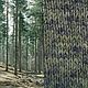 Пряжа "Таинственный лес" ручного окрашивания, Пряжа, Москва,  Фото №1