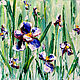 Order Painting miniature oil Irises. Zabaikalie. Livemaster. . Pictures Фото №3