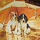  Dogs under an umbrella, Pictures, Skopin,  Фото №1