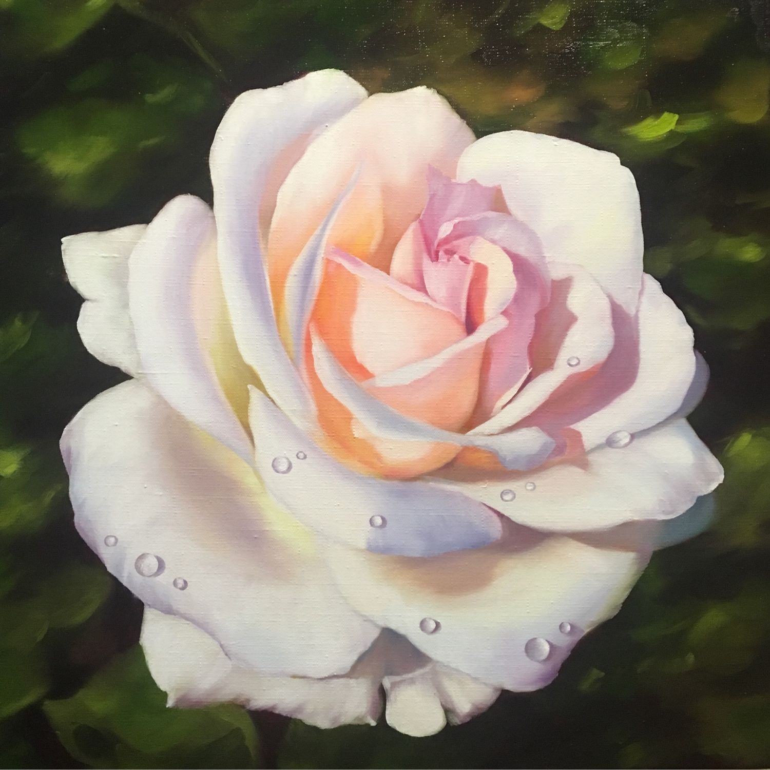 Розочка маслом. Розы живопись. Белые розы в живописи маслом. Картина "розы". Розы в живописи маслом.