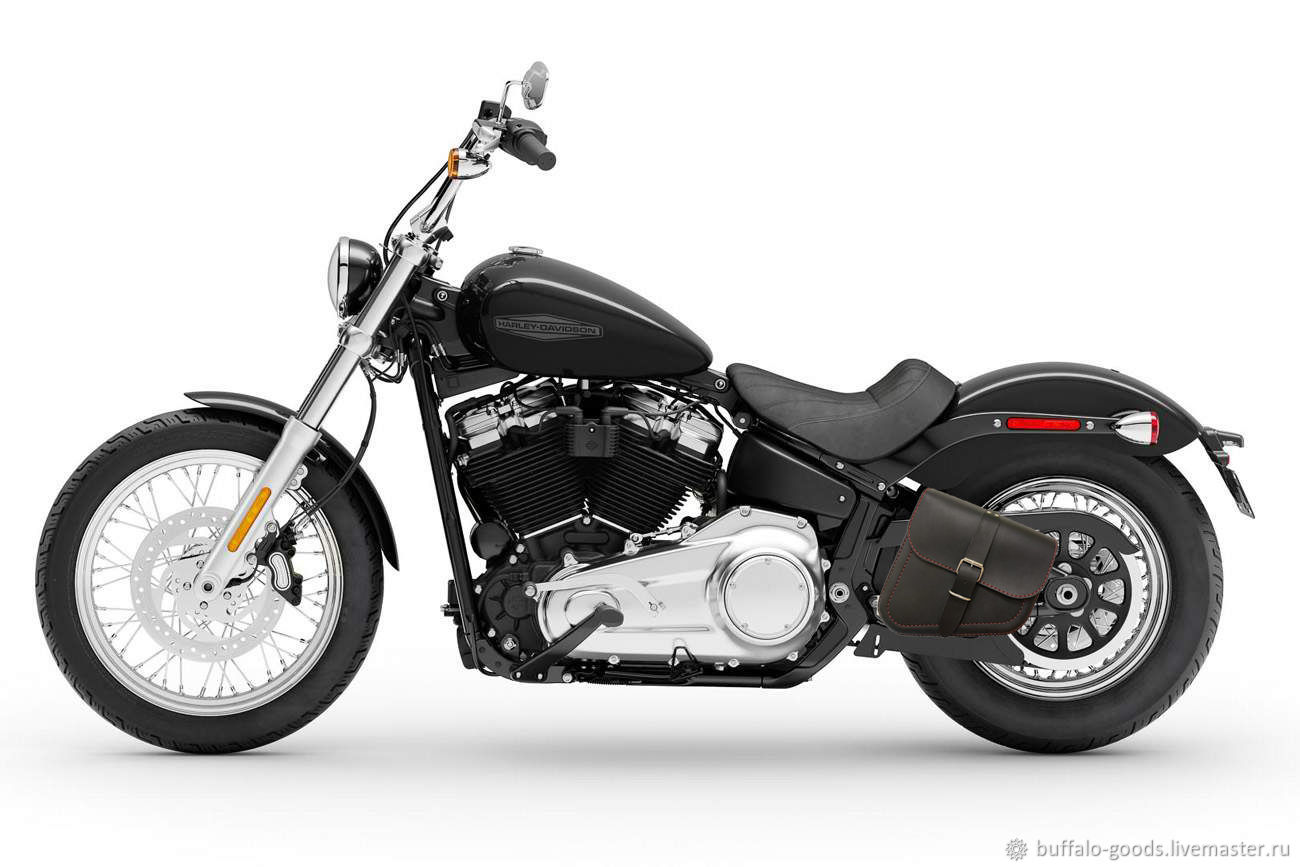 Мотоцикл Harley-Davidson Softail Standard 2020