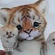 Tiger cub Sunshine, Stuffed Toys, Kuragino,  Фото №1