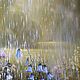 Sunny rain (Vladimir Tarasov). Pictures. Vladimir Tarasov. My Livemaster. Фото №4