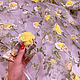 3D органза с объёмными цветами Весна. Ткани. Tkanikruzhevo. Ярмарка Мастеров.  Фото №4