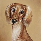Картина собачка щенок Бернский зенненхунд Черныш