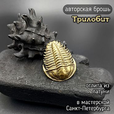 Украшения ручной работы. Ярмарка Мастеров - ручная работа Брошь-значок Трилобит Corynexochida. Handmade.