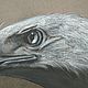  ' Bald Eagle v.4' pastel painting. Pictures. flamemilady. My Livemaster. Фото №4