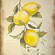 Акварель в старинном стиле "Лимоны на ветке", Картины, Саратов,  Фото №1