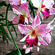 Flower-night light 'Pink orchid'. Nightlights. Elena Krasilnikova. My Livemaster. Фото №4