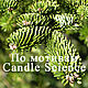 Отдушка Пихта Фрейзера по мотивам Candle Since, Ароматизаторы, Москва,  Фото №1