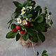 Compositions: strawberry bush made of cold porcelain, Composition, Vladivostok,  Фото №1