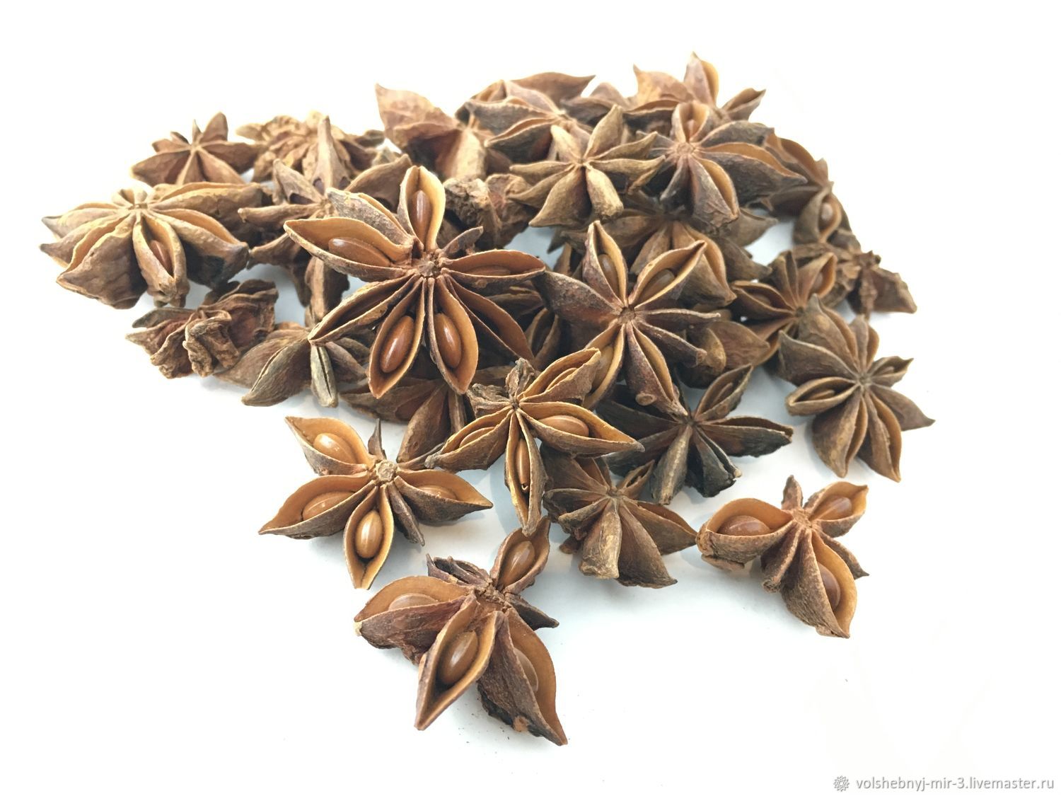 бадьян с точки зрения ботаники. бадьян перекресток. бадьян 50гр арведа. бадьян kamis. бадьян флора восточной азии.