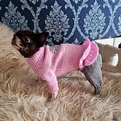 Вязаные свитера и платья для мелких собак
