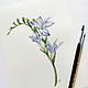 Freesia, Botanical watercolour. Pictures. Belasla. Online shopping on My Livemaster.  Фото №2