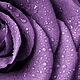 Пигментная паста Турция "Фиолетовый". Красители. Dobryimilnik. Интернет-магазин Ярмарка Мастеров.  Фото №2