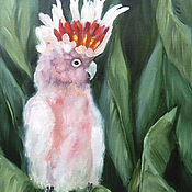 Картины и панно handmade. Livemaster - original item Pink Cockatoo Oil Painting 30 x 40cm Birds Australia Parrot. Handmade.