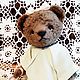 Мишка Тедди Аглая. Мишки Тедди. Олеся (sola-teddy). Ярмарка Мастеров.  Фото №4