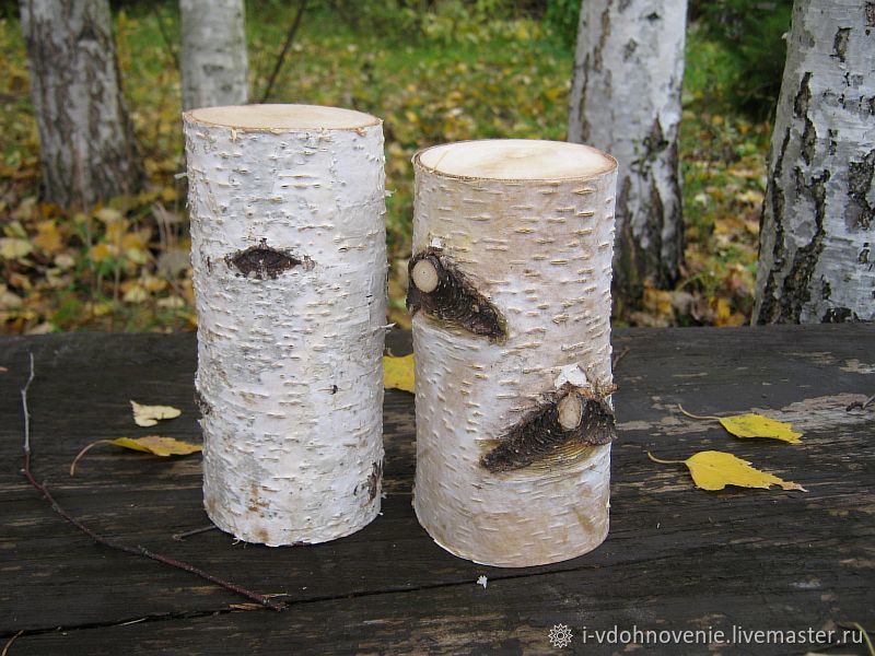 Керамические дрова для биокамина купить в Москве – ИнтерКамин