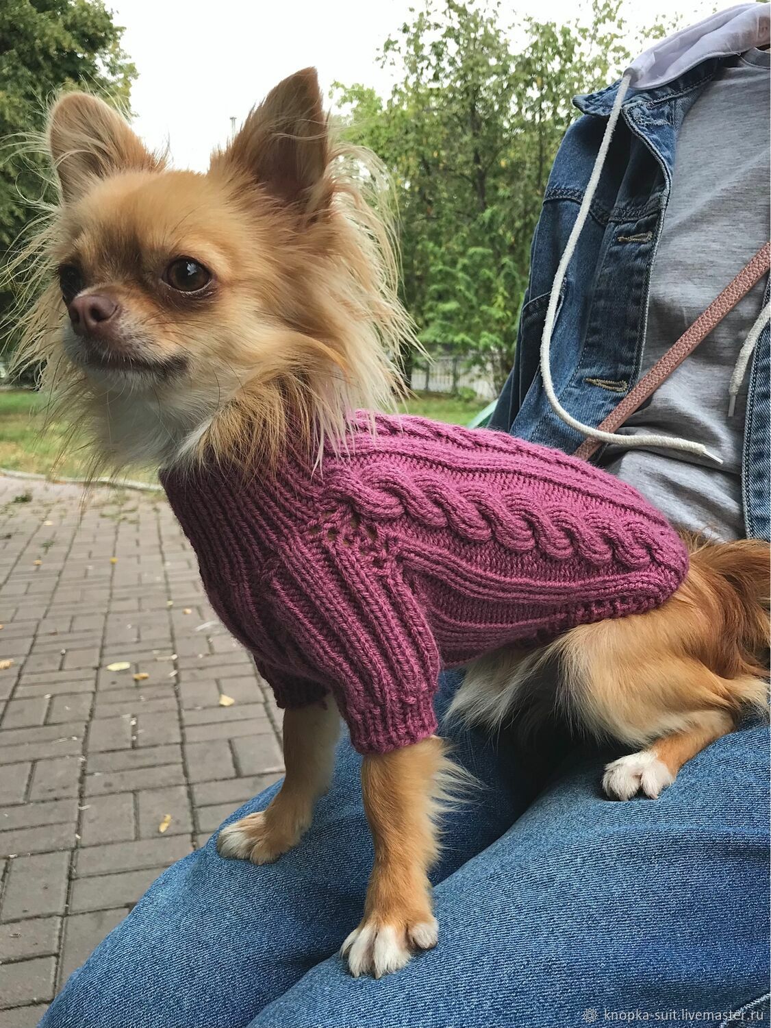 Свитер вязаный для собаки в интернет-магазине Ярмарка Мастеров по цене ...