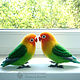 Lovebirds parrots, interior composition of wool felted parrots. Felted Toy. Woolen Zoo. My Livemaster. Фото №6