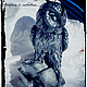 Космическая сова, Статуэтки, Симферополь,  Фото №1