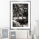 Black and white picture of nature, Landscape photos 'a New day in the old Park'. Fine art photographs. Rivulet Photography (rivulet). Online shopping on My Livemaster.  Фото №2