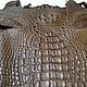 Crocodile skin, haberdashery dressing, back part, 38 cm, Leather, St. Petersburg,  Фото №1