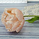  Пионовидный тюльпан из холодного форфора, Цветы, Жуковский,  Фото №1